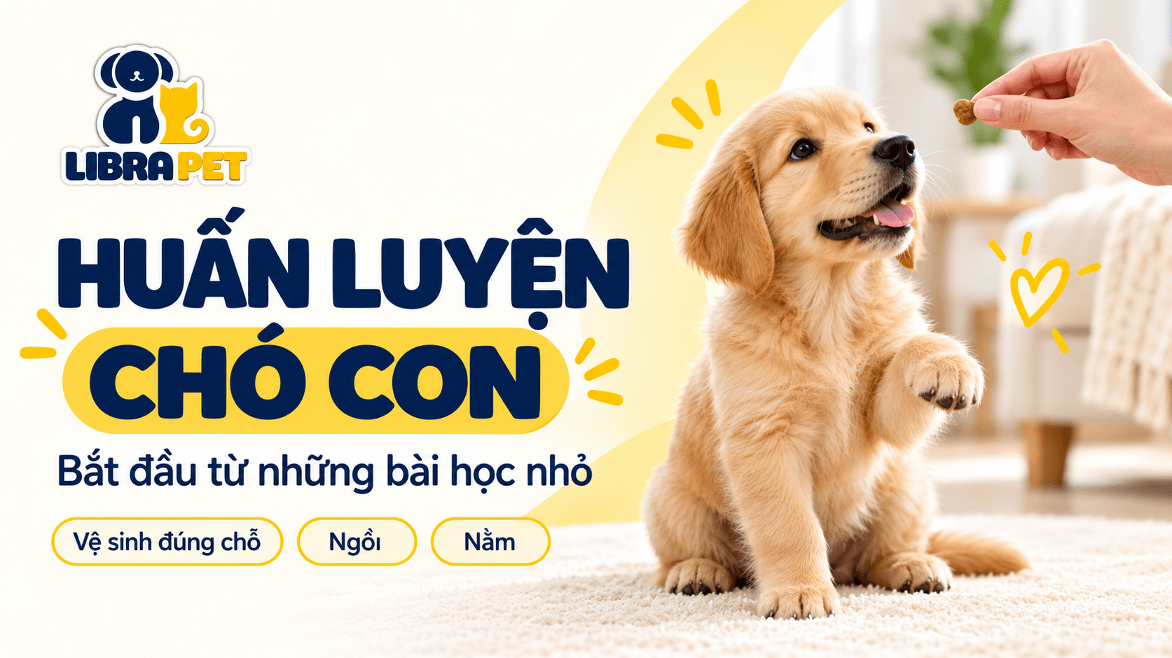 Hướng dẫn huấn luyện chó con từ những bước đầu tiên
