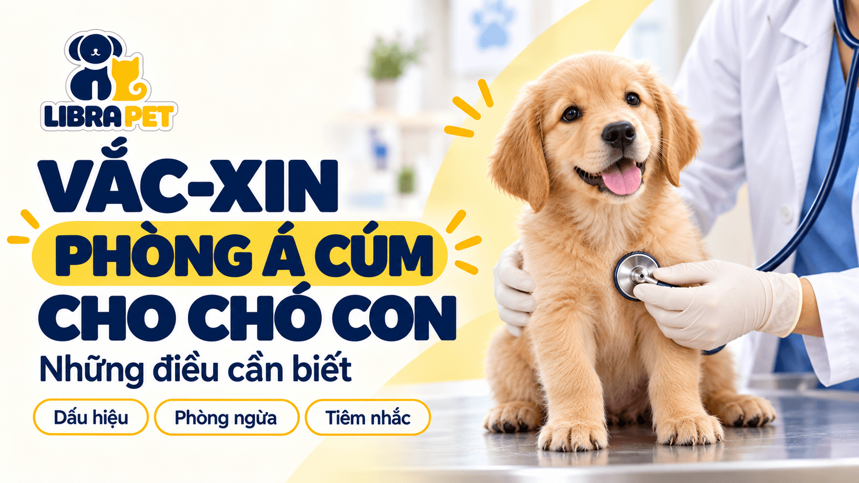 Vắc-xin phòng vi-rút á cúm cho chó con: Những điều cần biết