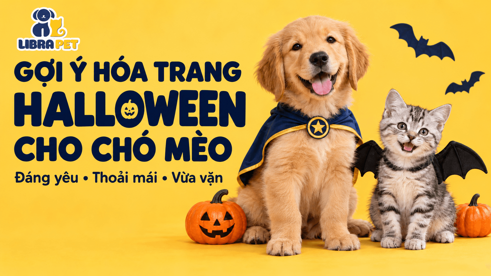 Gợi ý trang phục Halloween cho chó mèo: Đáng yêu nhưng vẫn thoải mái