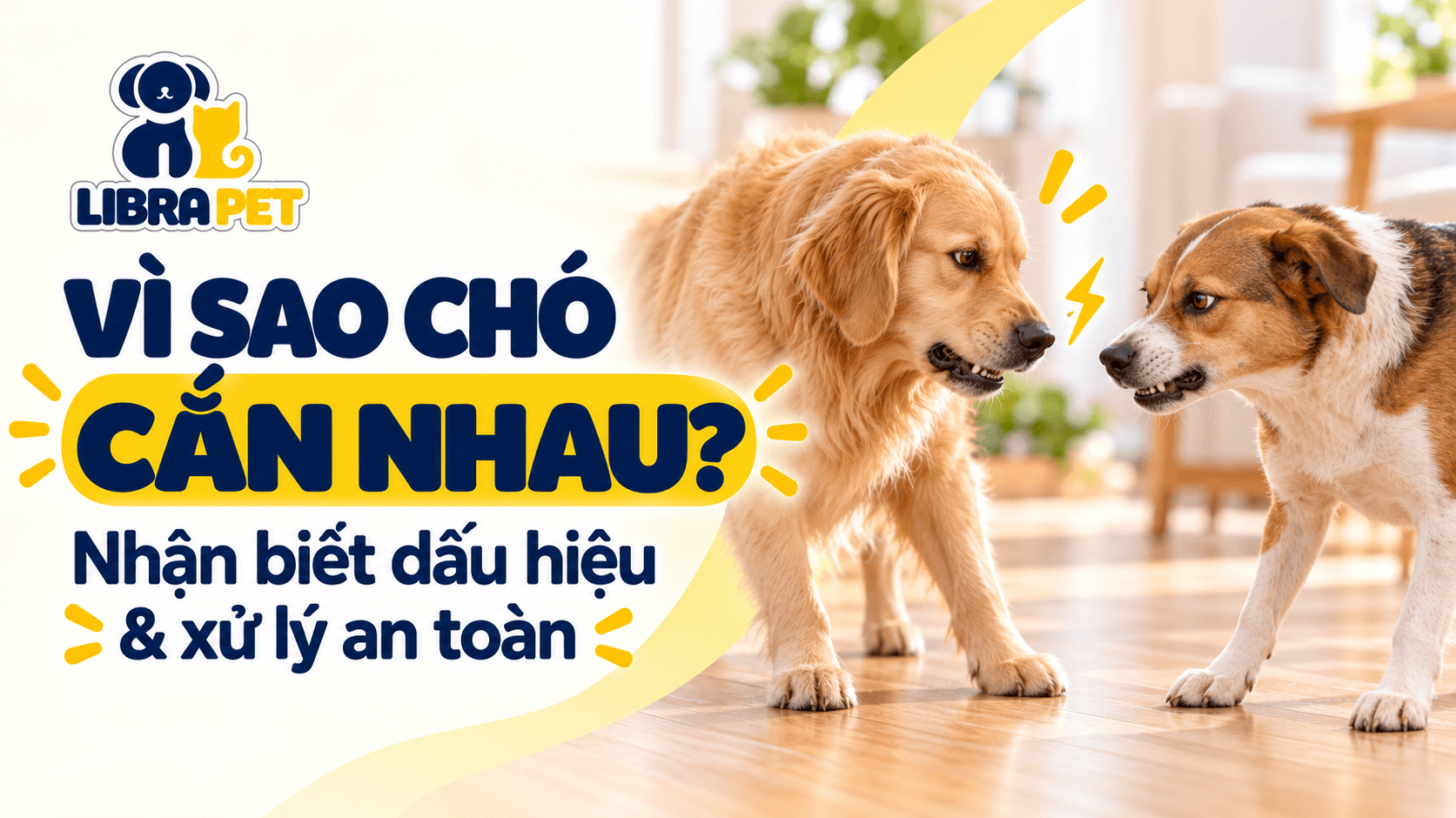 Vì sao chó cắn nhau? Nhận biết dấu hiệu và cách xử lý an toàn
