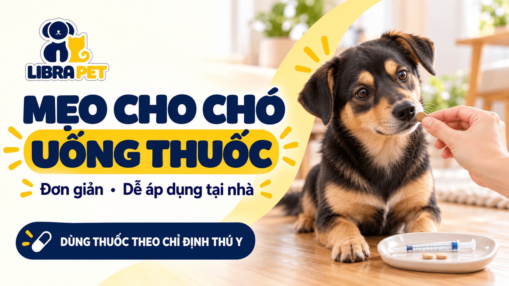 Mẹo cho chó uống thuốc dễ dàng, hiệu quả tại nhà